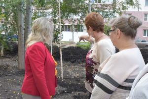 В Пензе намерены дополнительно озеленить сквер на Ново-Казанской