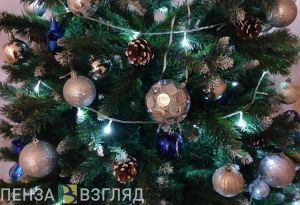 31 декабря в 2025 году будет для пензенцев выходным днем