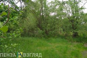 В Кузнецке наведут порядок на заброшенных участках
