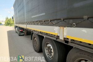 Из Пензенской области за месяц экспортировано 147 т семян горчицы