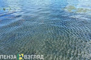 Итоги купального сезона, изменение движения транспорта и ход благоустройства сквера «Семейный» — новости Пензы и области за 3 сентября