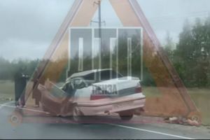 На трассе в Пензенской области произошло жесткое ДТП