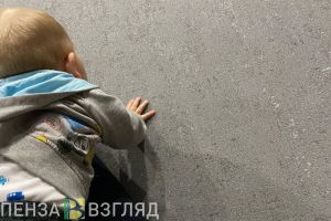 Для выплат пензенским многодетным семьям выделят еще 83 миллиона рублей