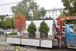 На Московской улице Пензы за один день высадили 300 новых саженцев