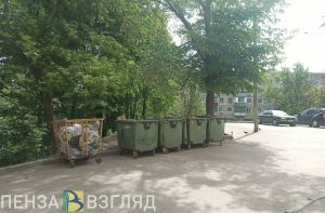 Житель Пензы сообщил о разгуливающих возле МФЦ крысах