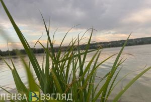 Появились подробности гибели мужчины на воде в Каменском районе