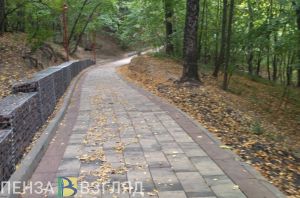 Пензенцы организовали небезопасный спуск к обновленной «Тропе здоровья»