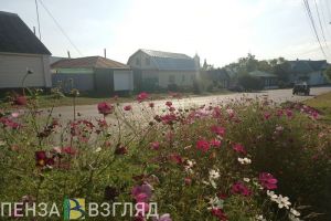8 сентября в Пензенской области будет тепло и сухо