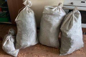У жителя Пензы нашли дома больше 6 килограммов конопли
