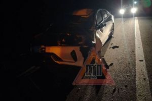Опубликованы фото ДТП со сбитой насмерть коровой на трассе в Пензенской области