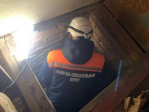 В Пензе женщина упала в погреб и не смогла выбраться