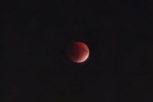 Жители Пензенской области наблюдали полное лунное затмение