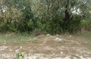 Сердобчане попросили поставить мусорный контейнер возле реки