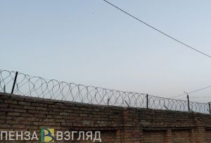 Вступил в силу приговор «положенцу» в пензенской колонии