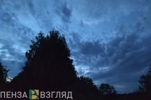 Пензенской области угрожает «Беспилотная опасность»
