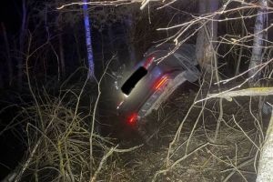 В Городище вынесли приговор водителю, виновному в смерти женщины и девочки