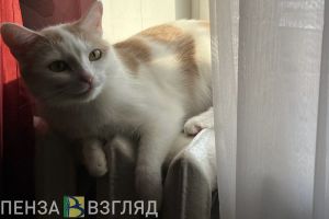 Денисов заявил, что жилой фонд Пензы готов к отопительному сезону на 93%
