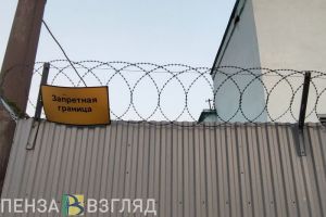 Экс-гендиректор пензенского ООО сядет в тюрьму на 4 года за мошенничество