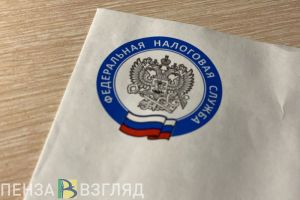 ФНС сообщила о льготах для многодетных семей в Пензенской области