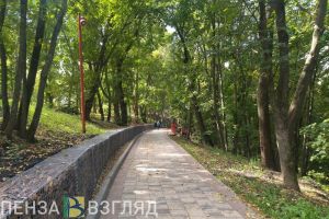 В Пензенской области ожидают заморозки до -3 градусов