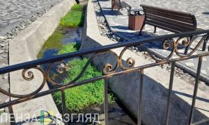 В сквере Яблочкова в Сердобске ручей стал грязным и зарос травой