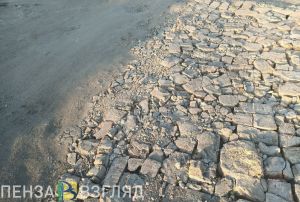 ЦУР зафиксировал более 1500 обращений от жителей Пензенской области