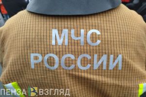 При пожаре в Городищенском районе пострадал 72-летний мужчина