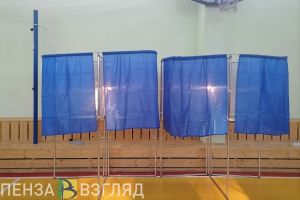 Александр Синюков огласил итоги дополнительных выборов в Пензенской области