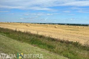 У жителей села в Мокшанском районе начались рвота и удушье после обработки полей