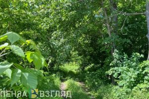 В Пензенской области объявили желтый уровень погодной опасности