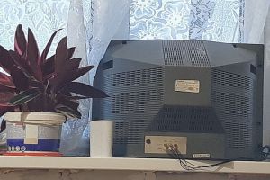 По совету китаянки выкинули из дома 5 вещей - уже на следующий день стали чувствовать себя гораздо лучше