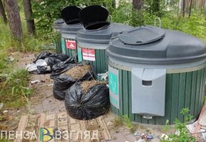 В Кузнецке дома с мусоропроводом переведут на другую систему сбора отходов