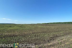 В Пензенской области принудительно изъяли частный участок для нужд государства