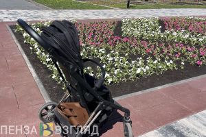 Пензенцам рассказали, где можно отучиться на социальную няню