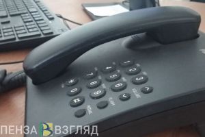 Пензенцы могут обратиться на «горячую линию» по поводу кибермошенников