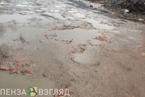 В Пензенской области власти района призвали жителей участвовать в ремонте дороги