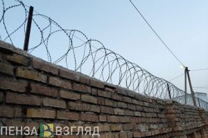 Жительница Башмаковского района отправится в колонию за неуплату алиментов