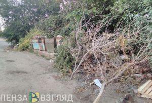 В Сердобске «подтянут» работу по вывозу мусора с контейнерных площадок