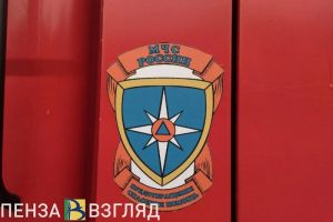 За неделю в Пензенской области произошло 49 пожаров