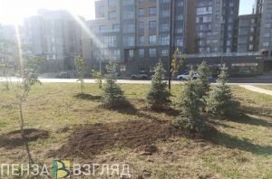 На озеленение Пензы направят еще 21 млн рублей
