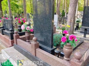 Названы самые частые причины смертности в Пензенской области и по России