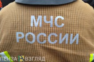 В Пензенской области за сутки потушили 11 пожаров