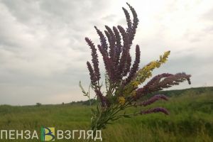 В Пензенской области 23 сентября температура воздуха взлетит до +30 градусов