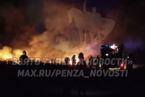 В Пензе горит поле рядом с коттеджным поселком Дубрава