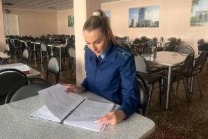 В Пензе проводят проверку в связи с массовым заболеванием детей в школе № 71