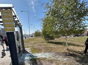 В Пензе разбили стекло остановочного павильона в Дальнем Арбекове