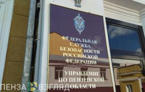 Жителю Пензенской области вынесли приговор за содействие террористам