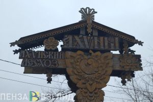 Губернатор поблагодарил пензенцев за помощь в защите леса в Ахунском лесничестве