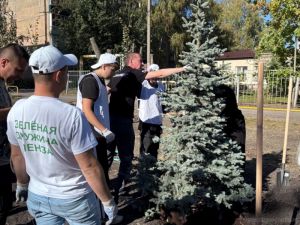 В Пензе высадили еще 25 деревьев