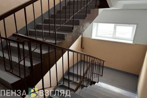 В Пензе зафиксировали очаг бешенства